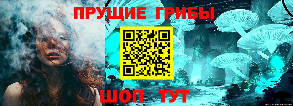 Псилоцибиновые грибы MAGIC MUSHROOMS Алатырь